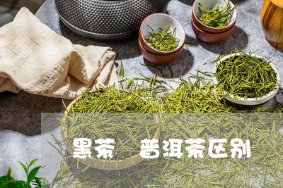 黑茶 普洱茶区别/2023031706248